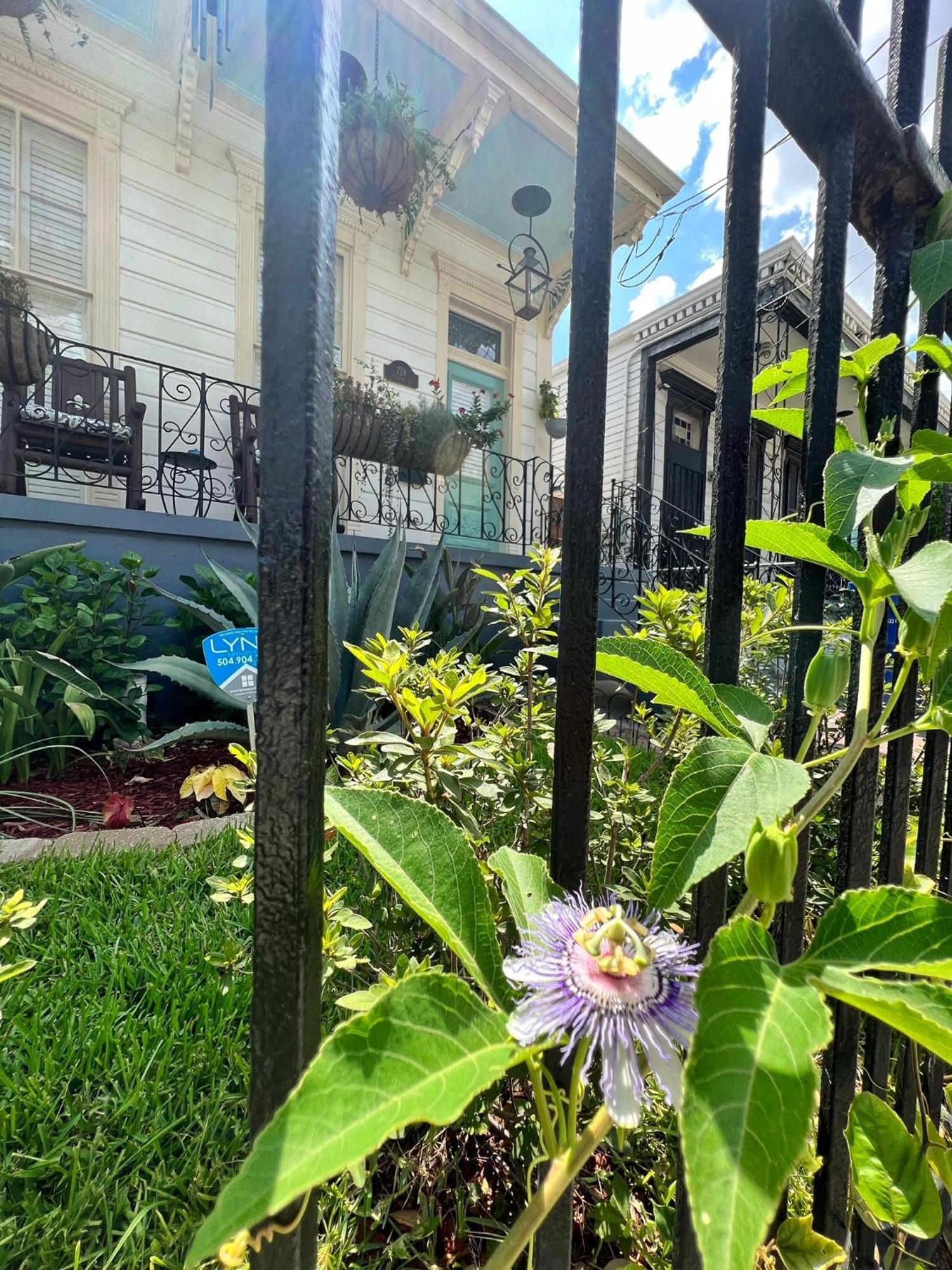 Luxury Historic Shotgun Home In Lower Garden District New Orleans Esterno foto